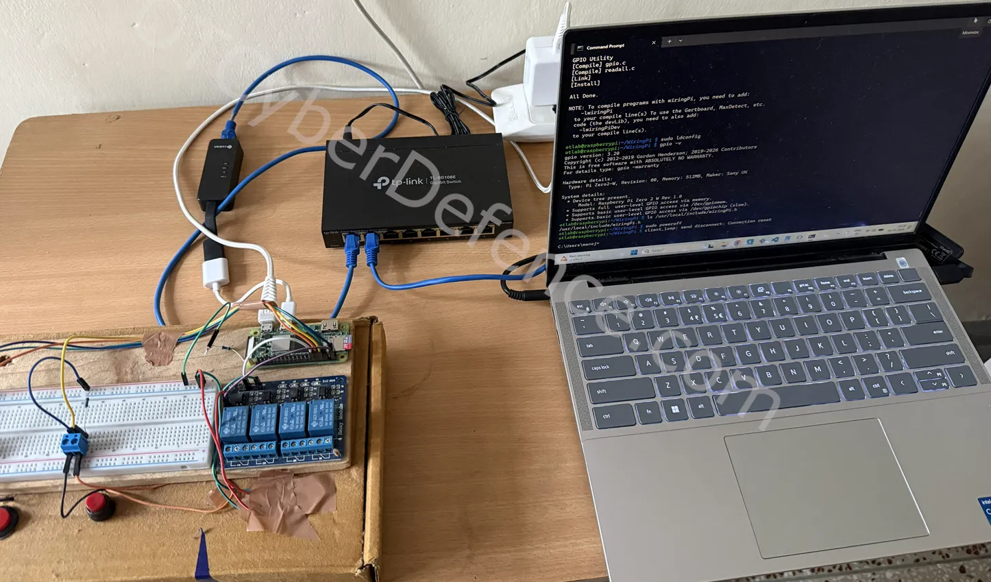 My Lab Picture